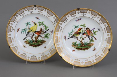 Lot 981 - Paar MEISSEN Porzellanteller mit Vogeldekor