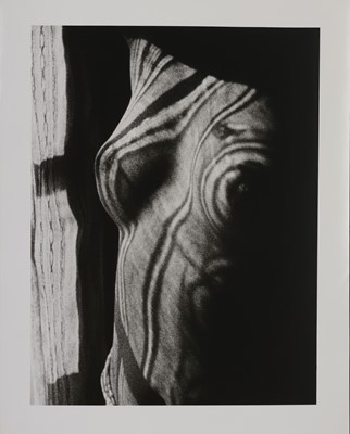 Lot 1528 - MAN RAY (1890 Philadelphia - 1976 Paris)