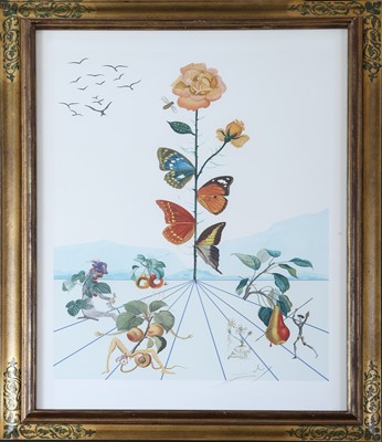 Lot 1684 - SALVADOR DALI (1904 Figueres/Katalonien - 1989 ebenda)