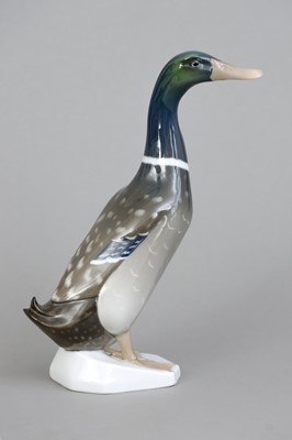 Lot 304 - HUTSCHENREUTHER Porzellanfigur "Enterich"